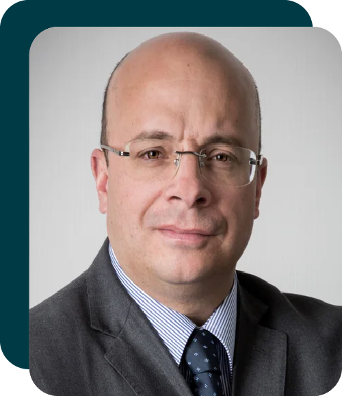 Fernando Cepeda Ulloa